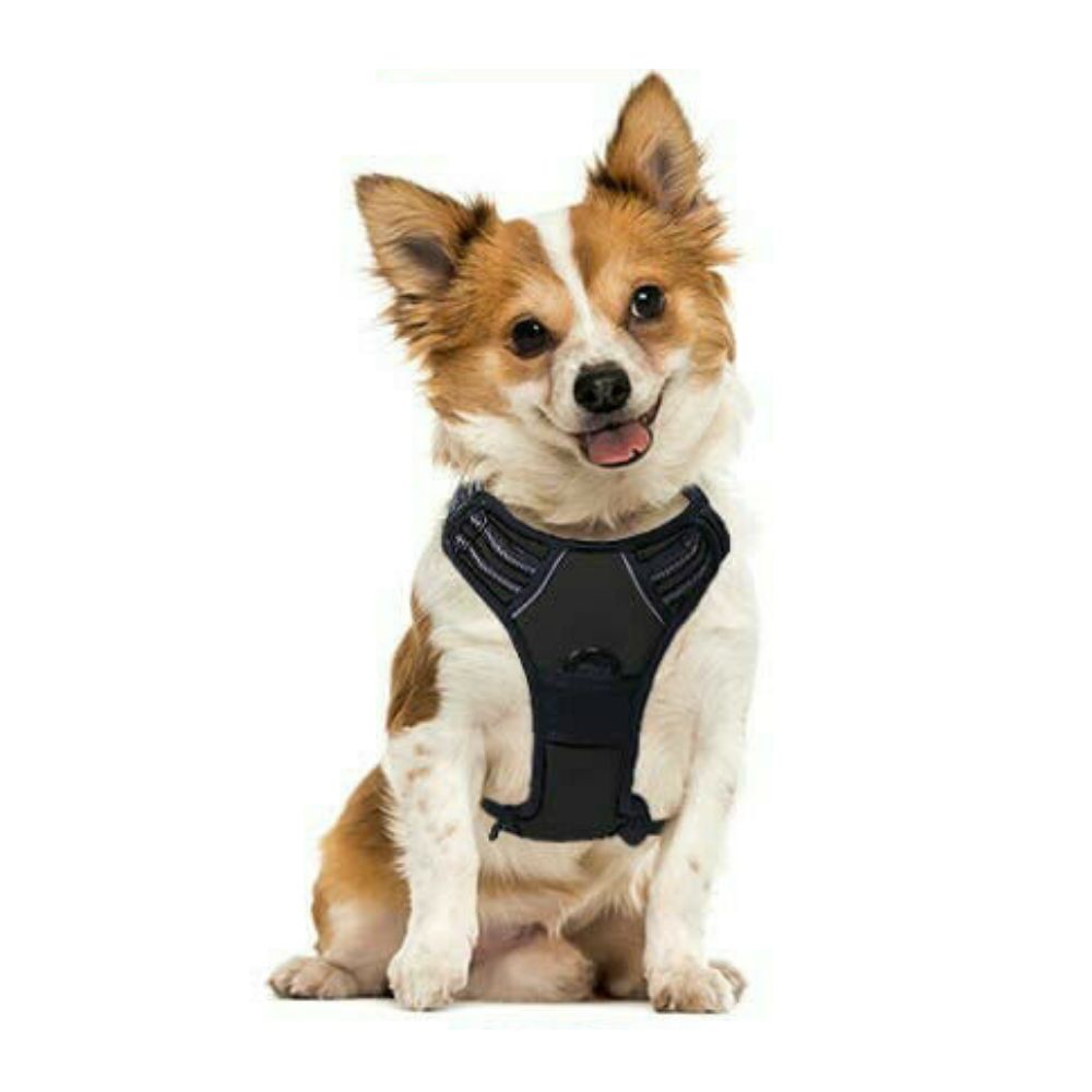 Heavy Duty No Pulling Front Clipping Dog Harness