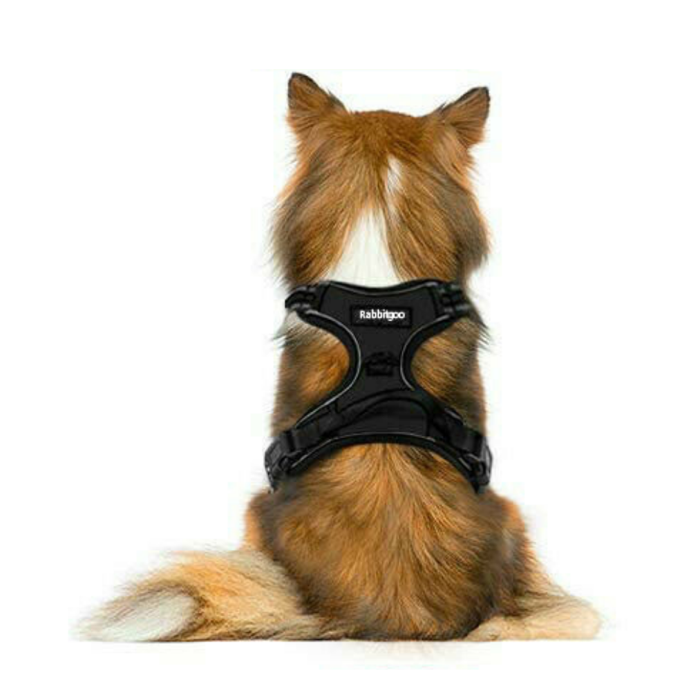Heavy Duty No Pulling Front Clipping Dog Harness