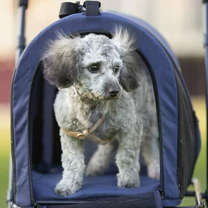 Heavy Duty Double Small Dog Jogging Stroller Carriage