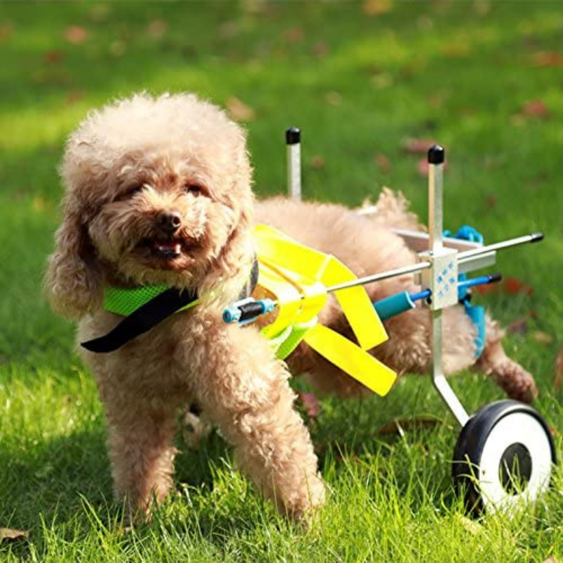 Dog Mobility Back Legs Wheelchair