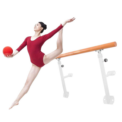 Portable Wall Mounted Home Ballet Dance Exercise Barre