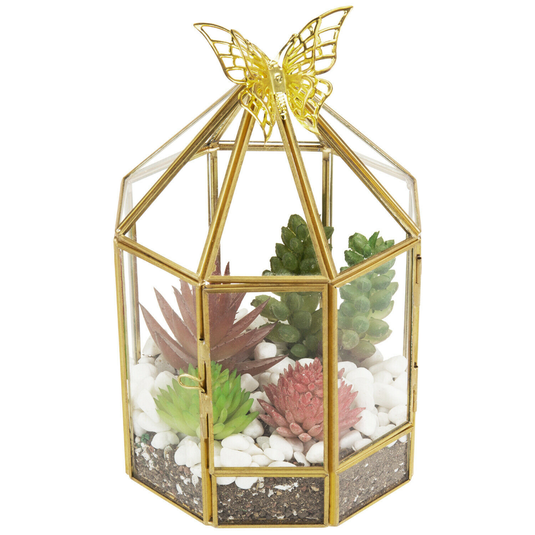 Hexagonal Closed Indoor Glass Plant Standing Terrarium