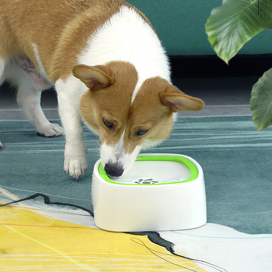 Large Portable Spill Proof Dog Water Fountain Bowl