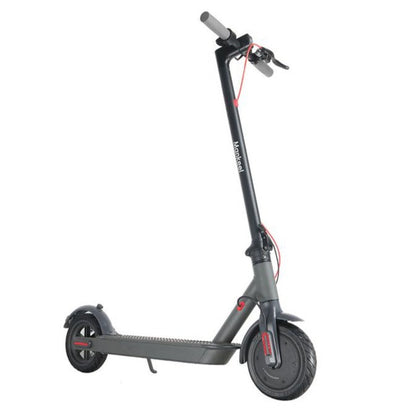 Portable Folding Adult Motorized Electric Powered Scooter 350W