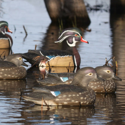 Full Body Motion Wood Duck Decoy 6 pack