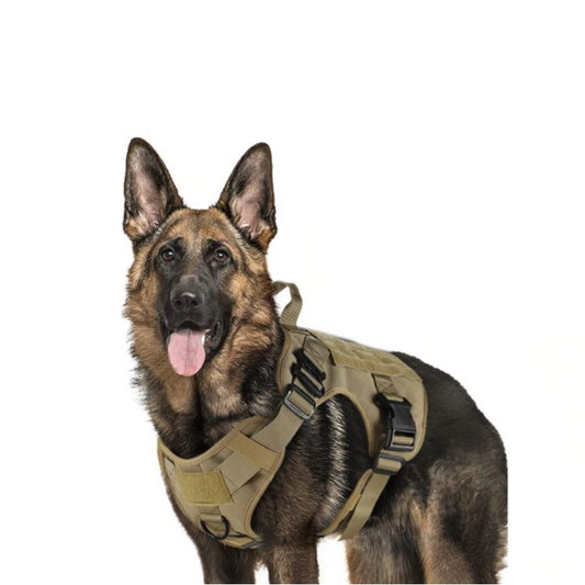 Heavy Duty Tactical No Pull Dog Harness Vest