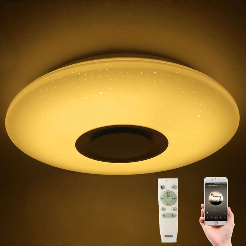 LED Flush Mount Ceiling Modern Light With Music