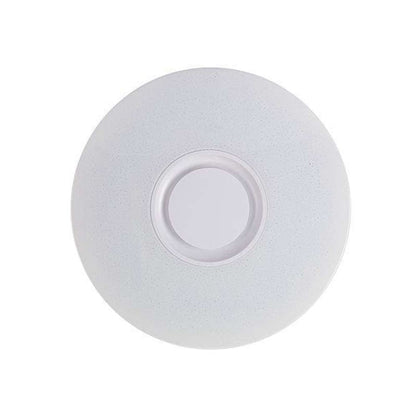 LED Flush Mount Ceiling Modern Light With Music