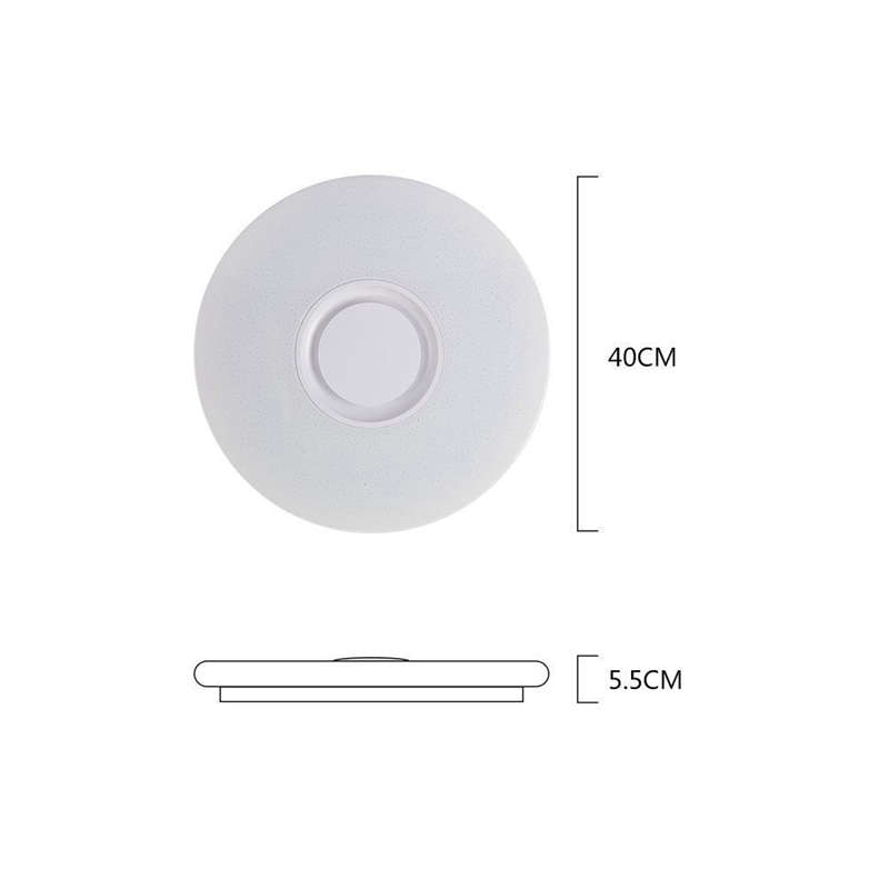 LED Flush Mount Ceiling Modern Light With Music