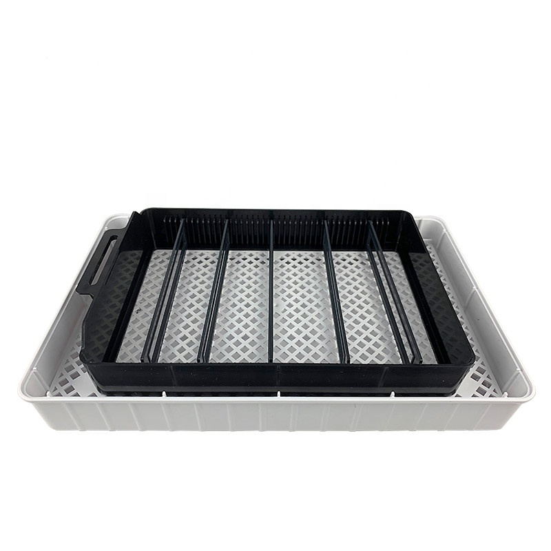 35 Premium Automatic Chicken Egg Incubator