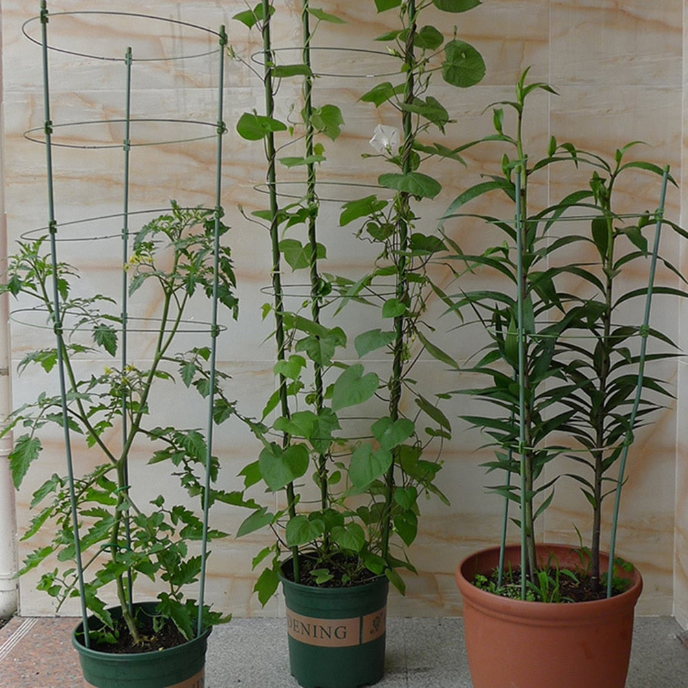 Heavy Duty Tomato Plant Support Trellis Cage