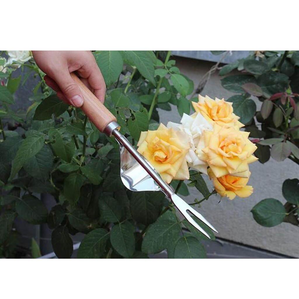 Premium Garden Hand Held Weeding Tool