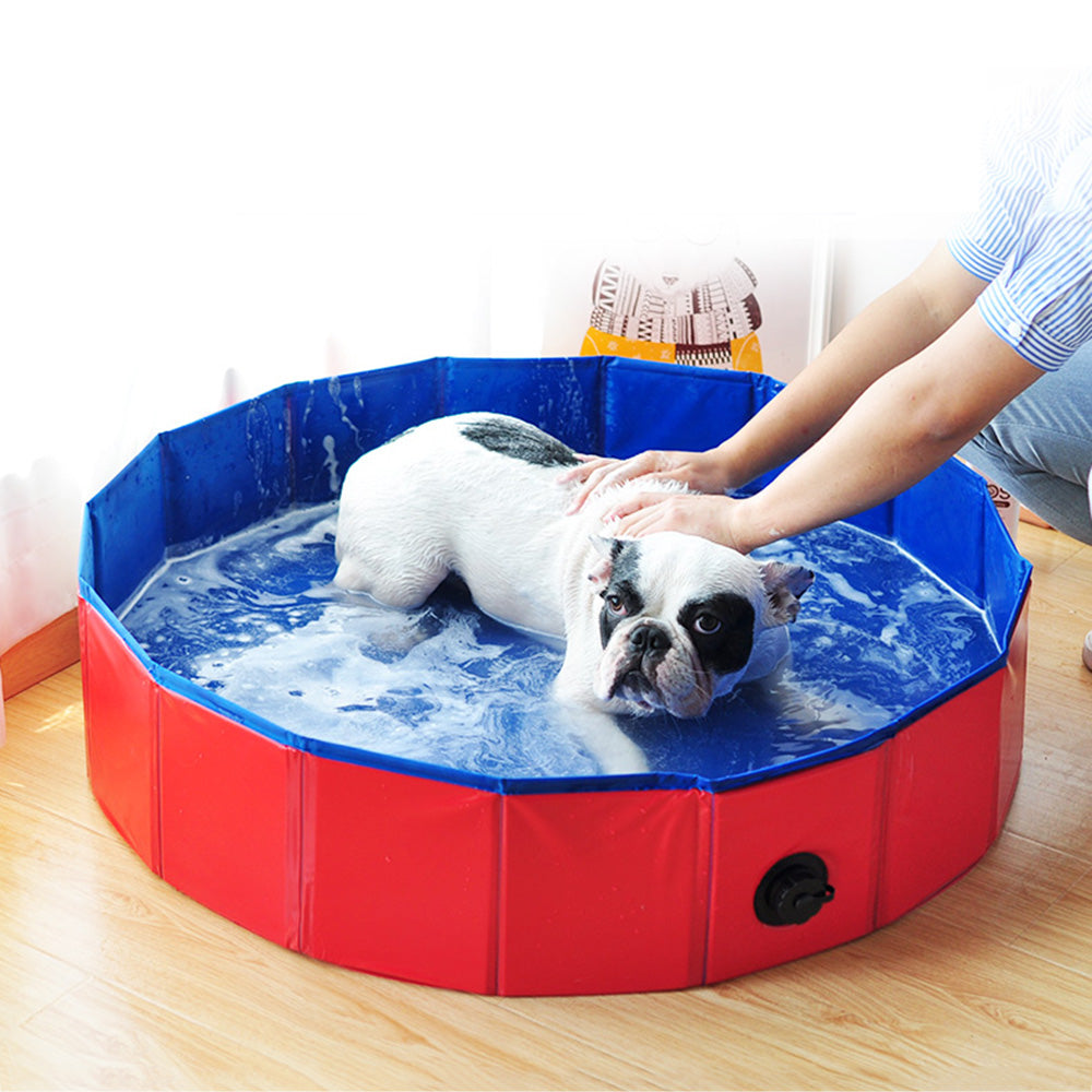 Spacious Portable Bathtub For Dogs