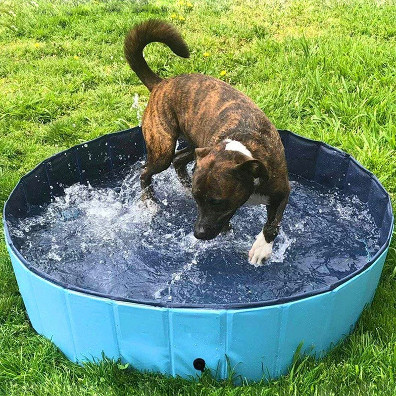 Heavy Duty Large Plastic Dog Swimming Pool