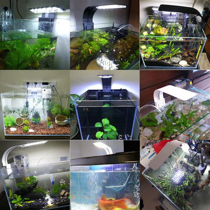 Premium LED Aquarium Fish Tank Light