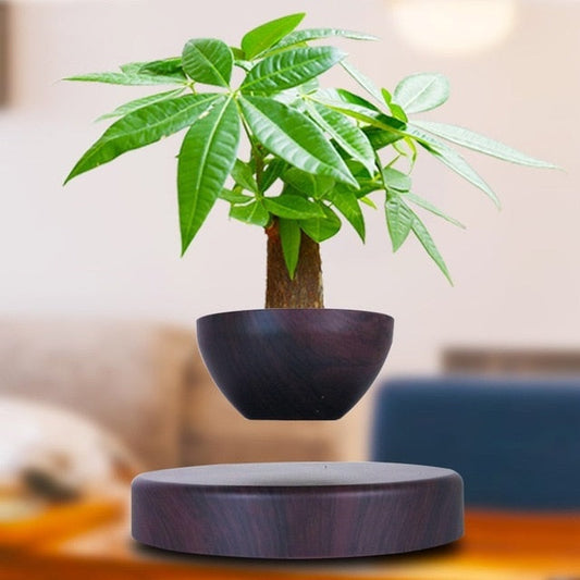 Levitating Magnetic Bonsai Tree Planter Pot