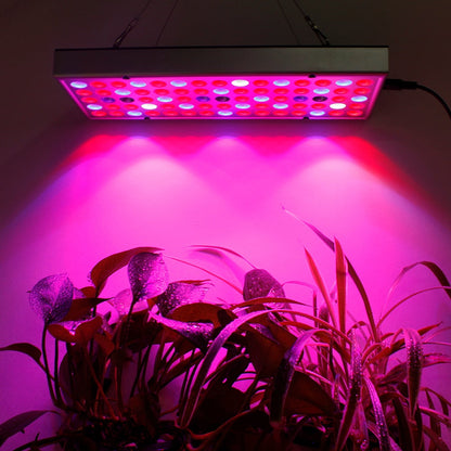 Plant LED Grow Lights Full Spectrum Indoor