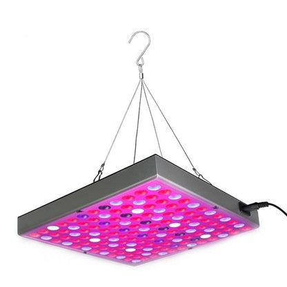 Plant LED Grow Lights Full Spectrum Indoor