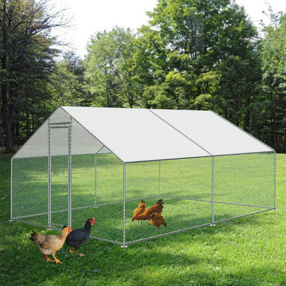 Large Spacious Walk In Backyard Chicken Coop 10' x 10'