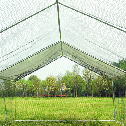 Large Spacious Walk In Backyard Chicken Coop 10' x 10'